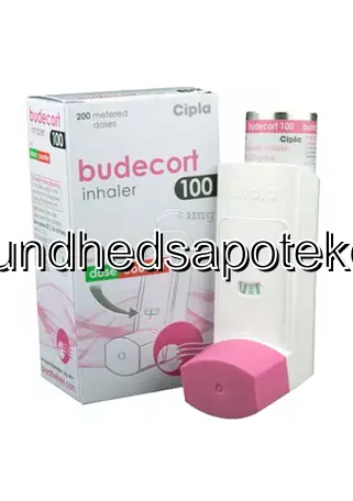 rhinocort
